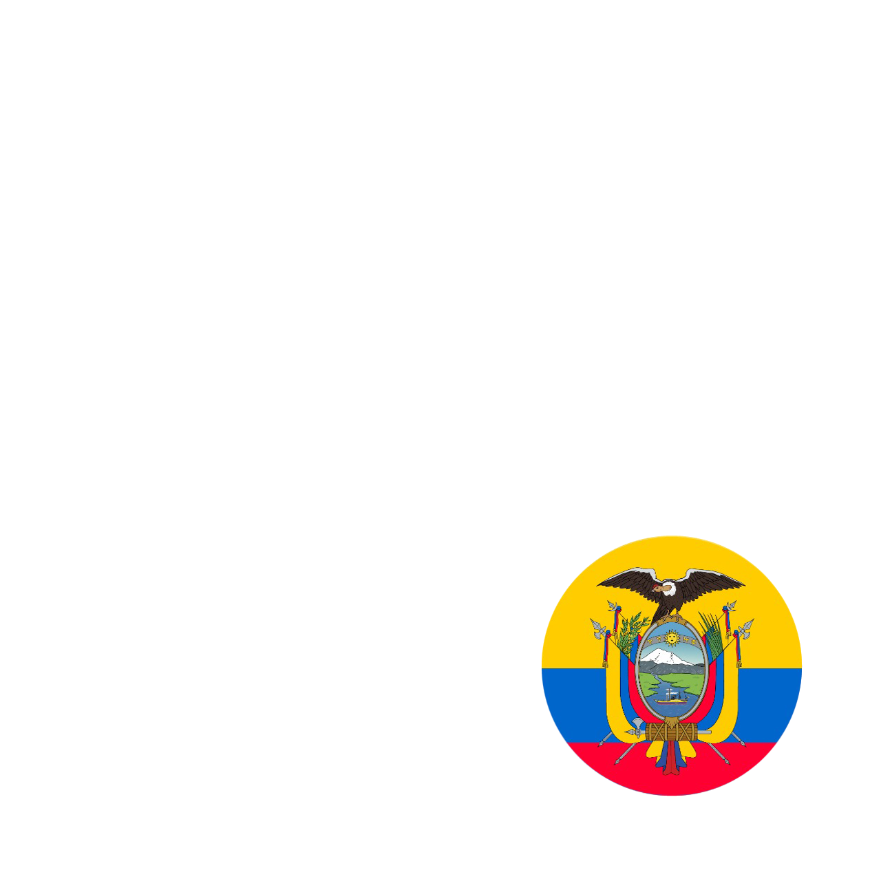 Logo de IVAO Ecuador